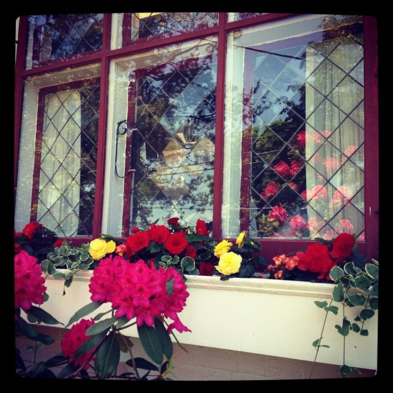 Belgravia B&B Truro Exterior foto